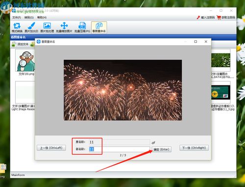 神奇图像处理软件怎么看图重命名图片 神奇图像处理软件看图重命名图片的方法 河东软件园